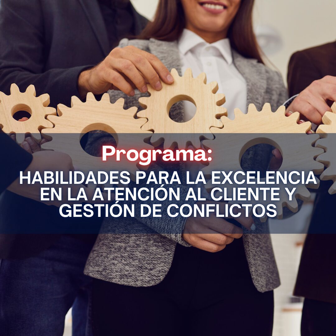 Añadir un subtítulo (1)